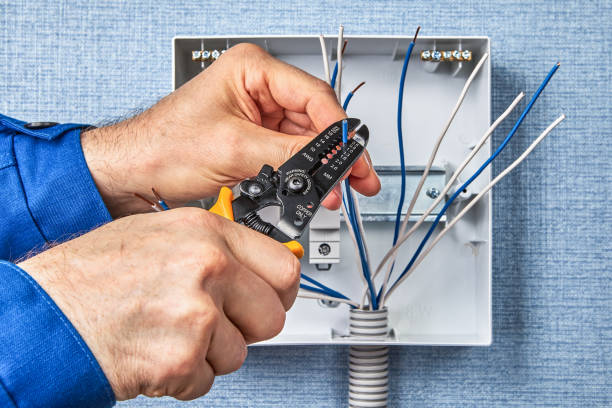 Best Electrical Maintenance Services  in De Soto, IA